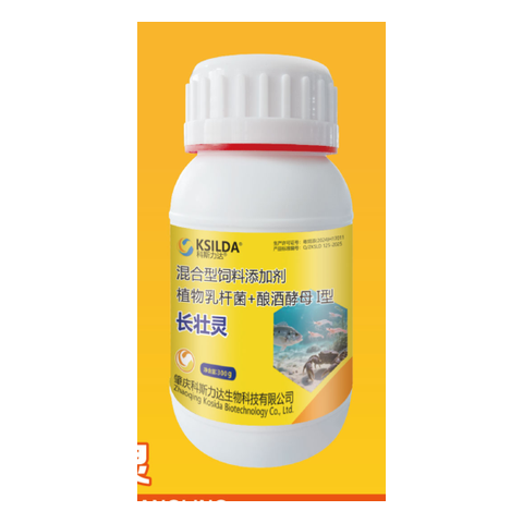 长壮灵