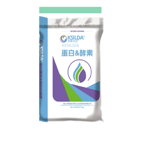 蛋白酵素